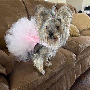 Meet your Posher, Suzan